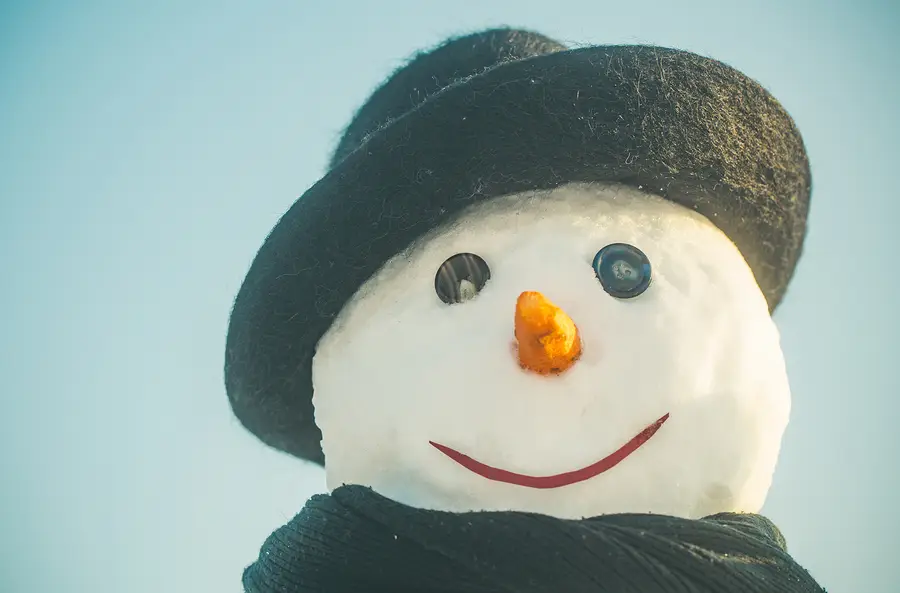 New Year Snowman Spy Ageng