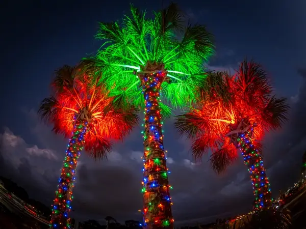 Palm trees decorated with brightly colored holiday lights